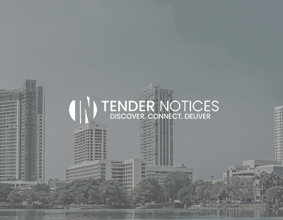 Web Design & Development Portfolio